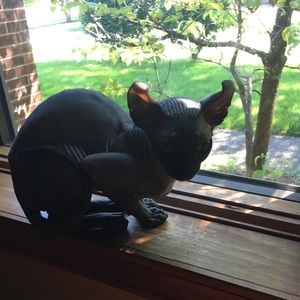 Meet your Posher, Leigh